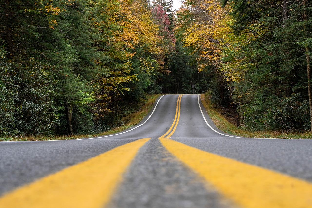 road with yellow lines and trees for delivery in atlanta